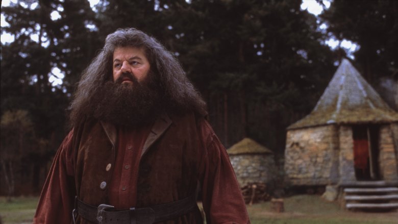 Robbie Coltrane in Harry Potter