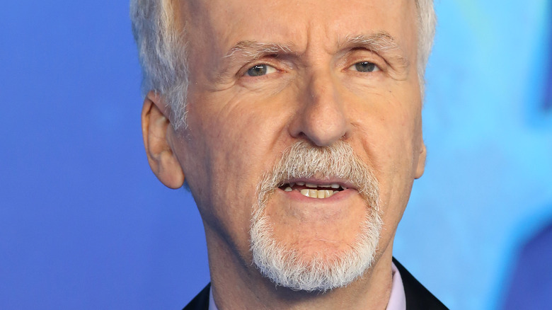 James Cameron attends the "Avatar: The Way Of Water" world premiere