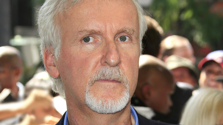 James Cameron at a major press event