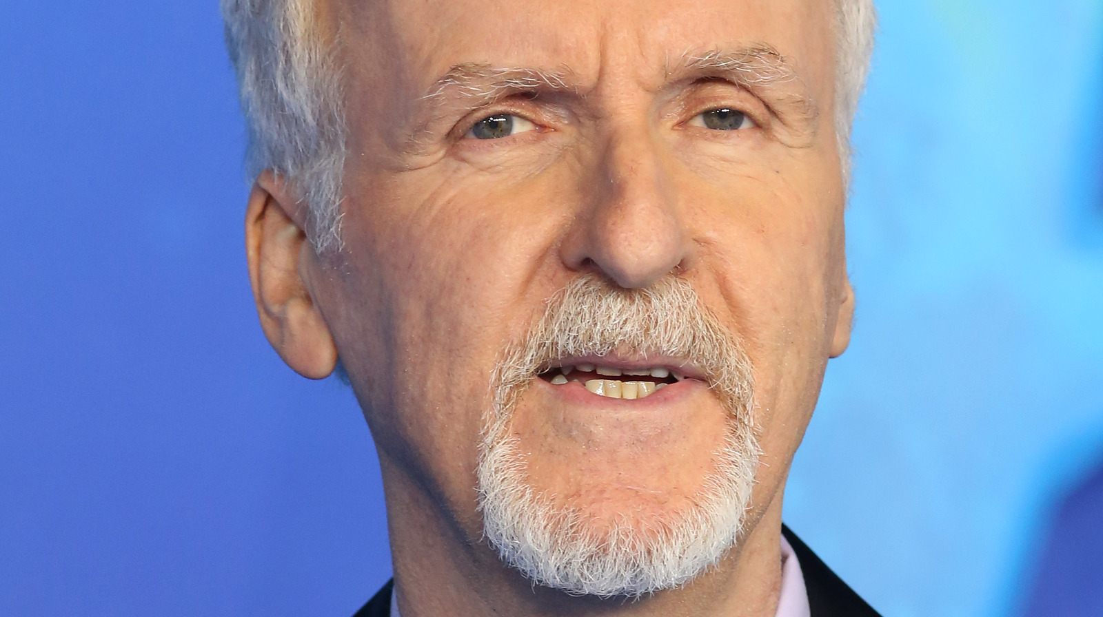 James Cameron net