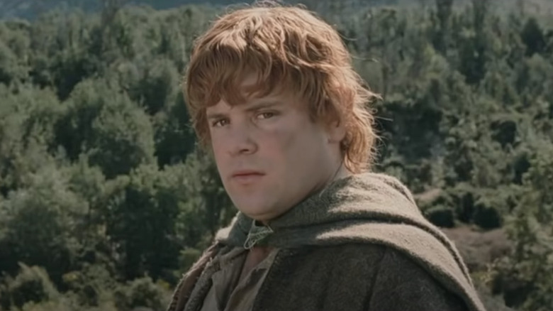 Samwise suspicious of Smeagol