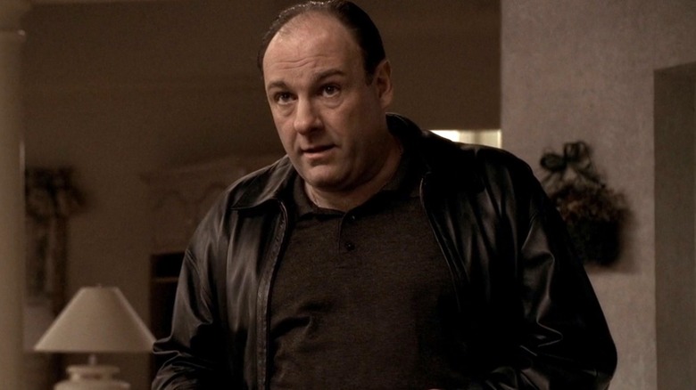 Tony Soprano leather jacket looking serious