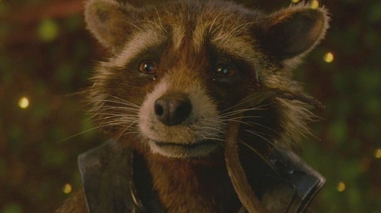 Rocket Raccoon crying