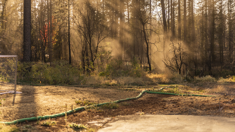 Wreckage from Paradise Fire