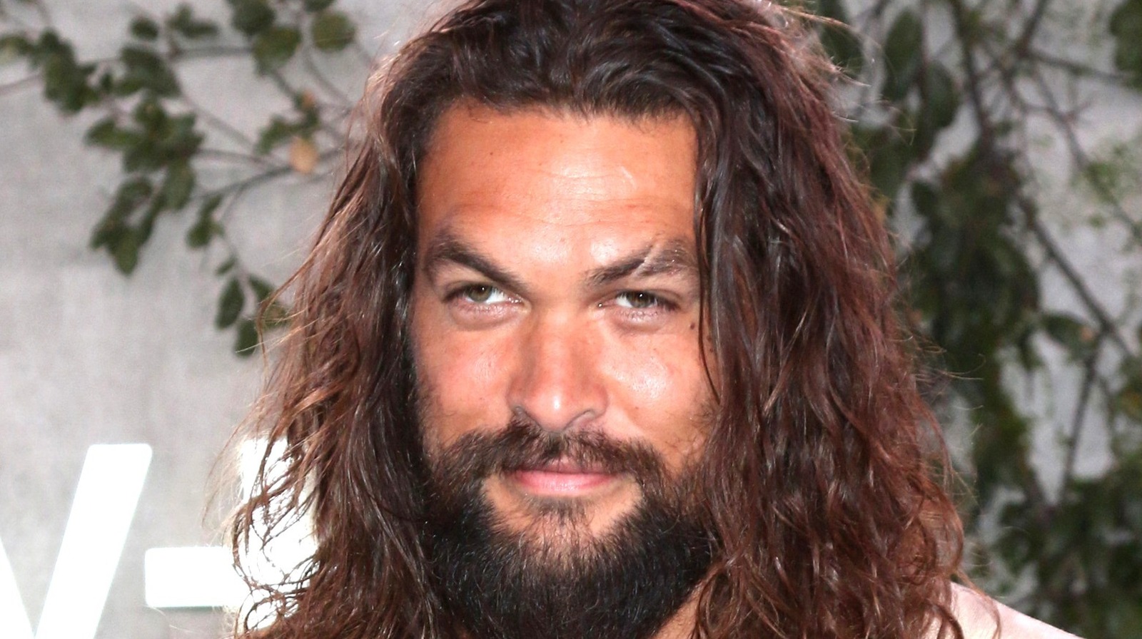 Jason Momoa Reveals What He Really Wanted From Dune 8300