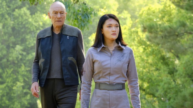 Picard and Soji walk in forest