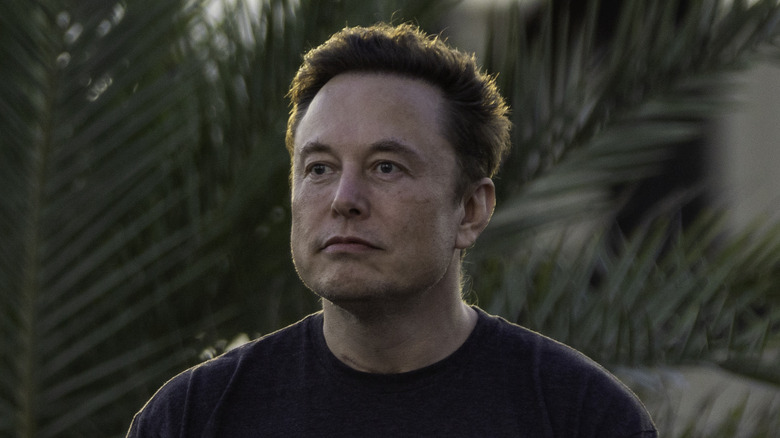 Elon Musk staring off