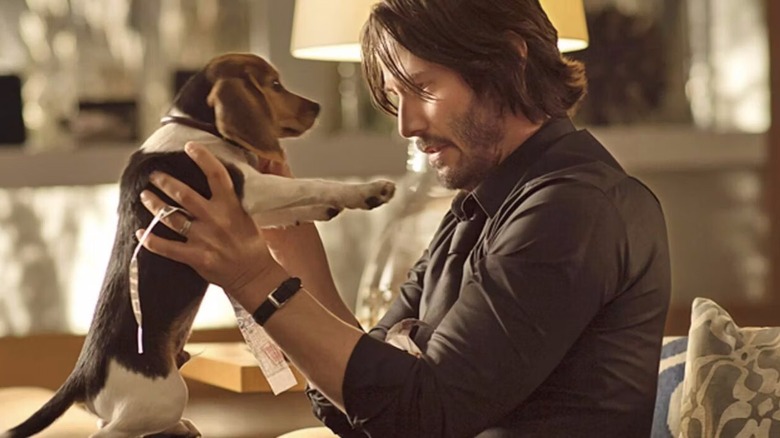 John Wick and his dog