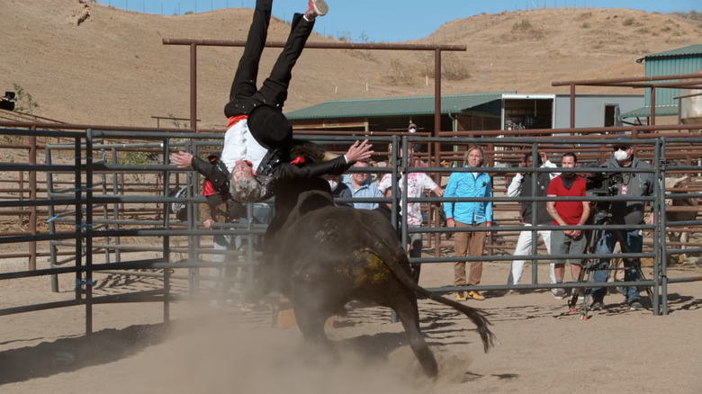 Knoxville flipping over after being hit by a bull