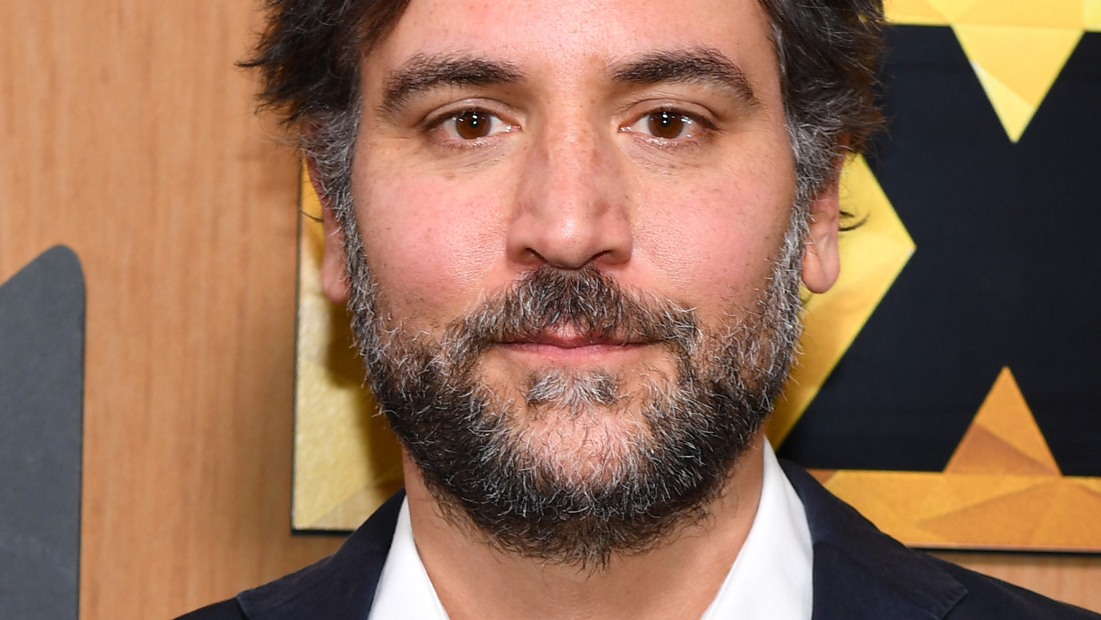 Josh Radnor Would Gladly Appear On How I Met Your Father After Talking To Hilary Duff
