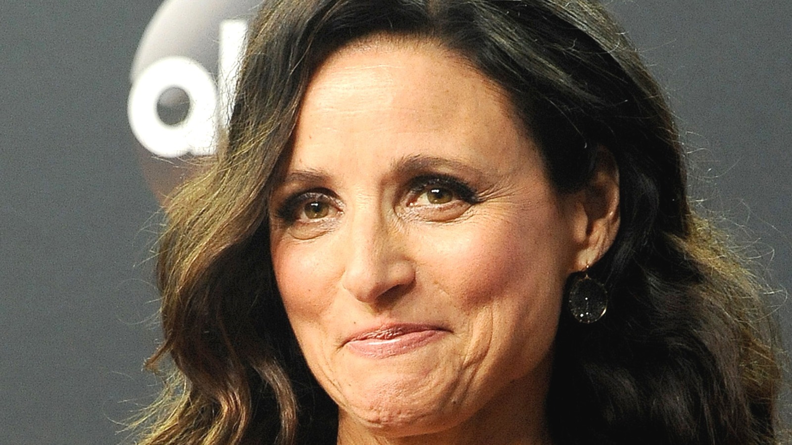 Julia Louis Dreyfus And Screenwriter Nicole Holofcener Are Re Teaming For A New Comedy 