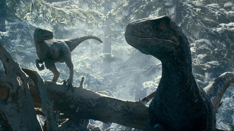 Dinosaurs in a snowy forest in Jurassic World Dominion