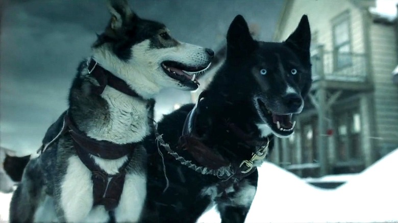 Two huskies in the snow in "Togo" (2019)