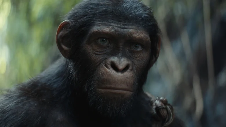 Kingdom Of The Planet Of The Apes May Feature A Familiar Weapon ...