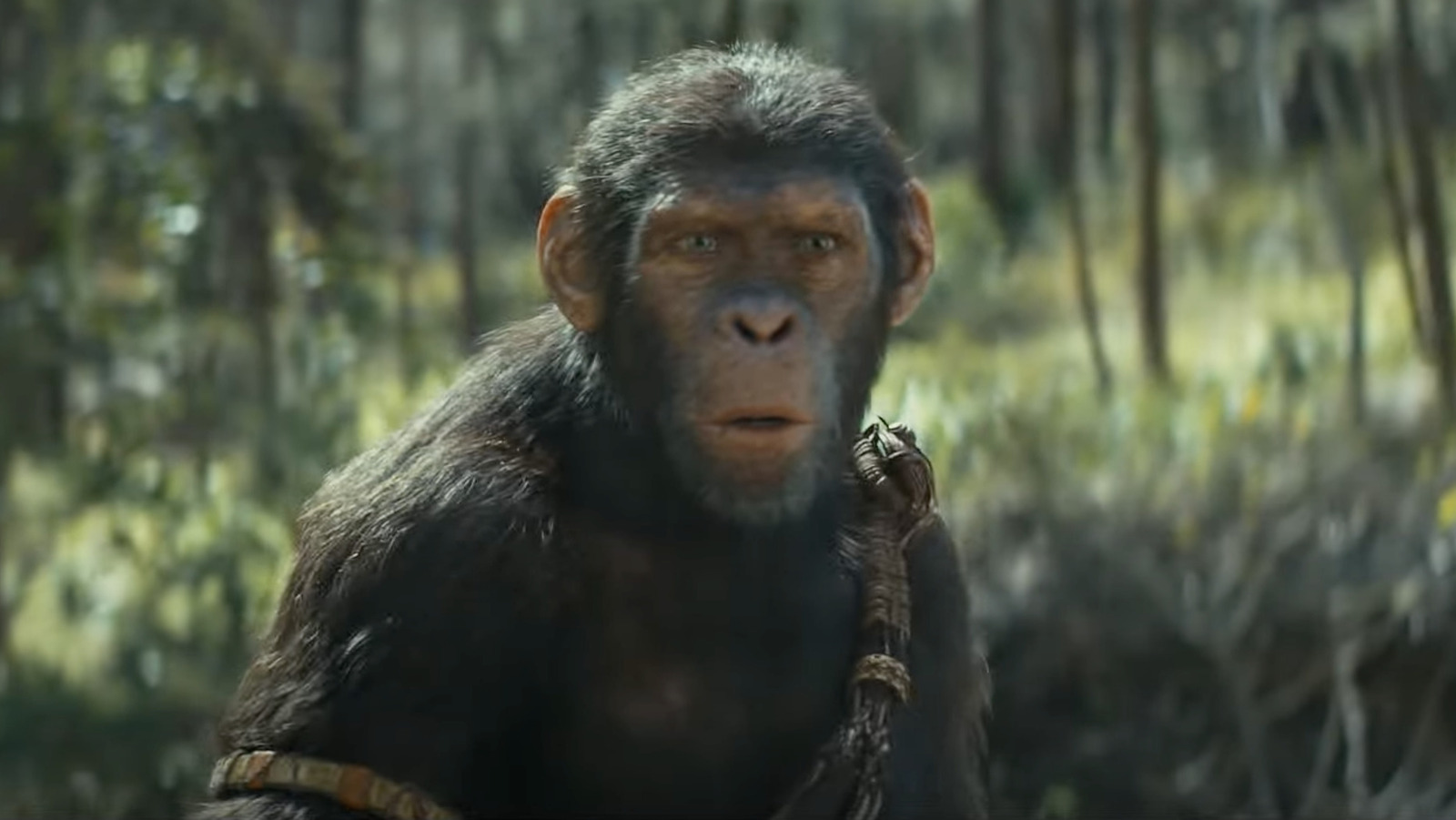 Kingdom Of The Of The Apes Plot Details Will Disappoint Caesar Fans