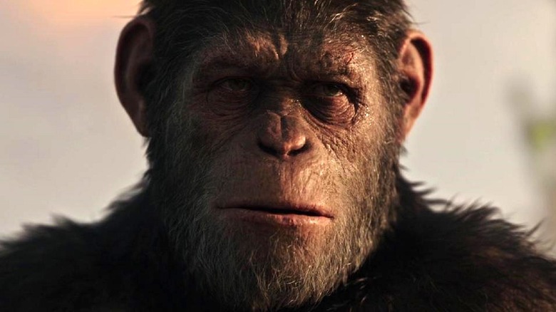 Kingdom Of The Planet Of The Apes - Everything You Need To Know
