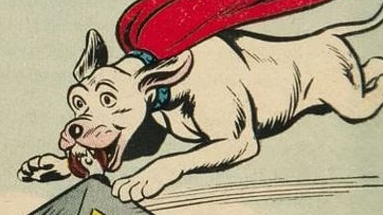 Happy Krypto flying