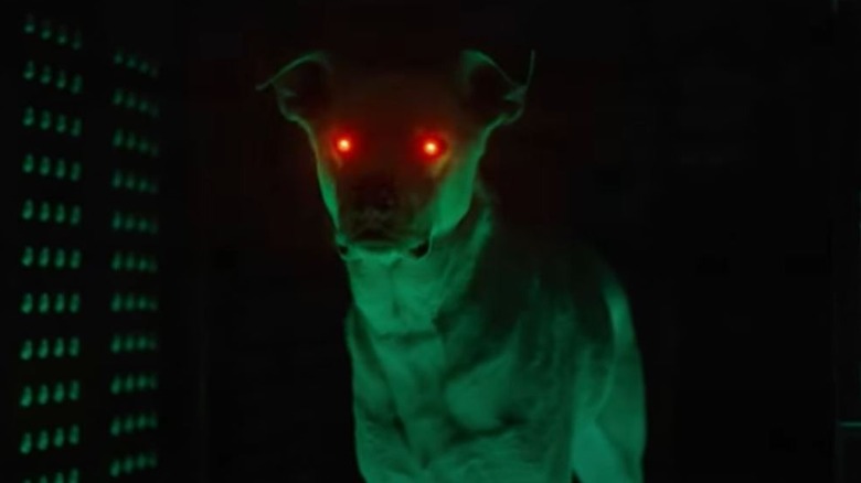 Krypto with glowing eyes