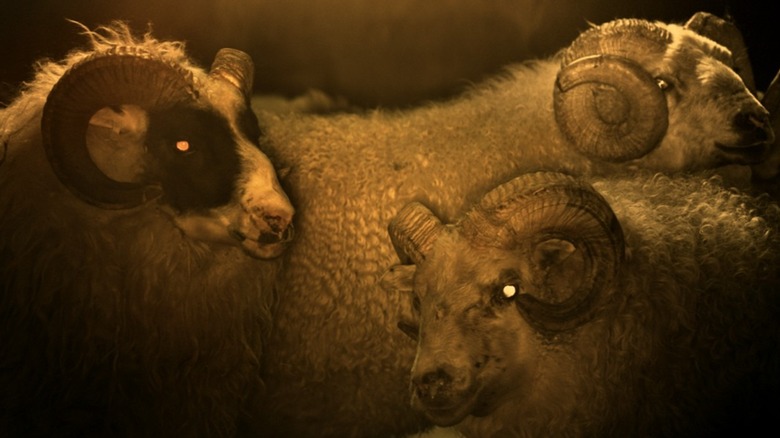 Demonic sheep in dream