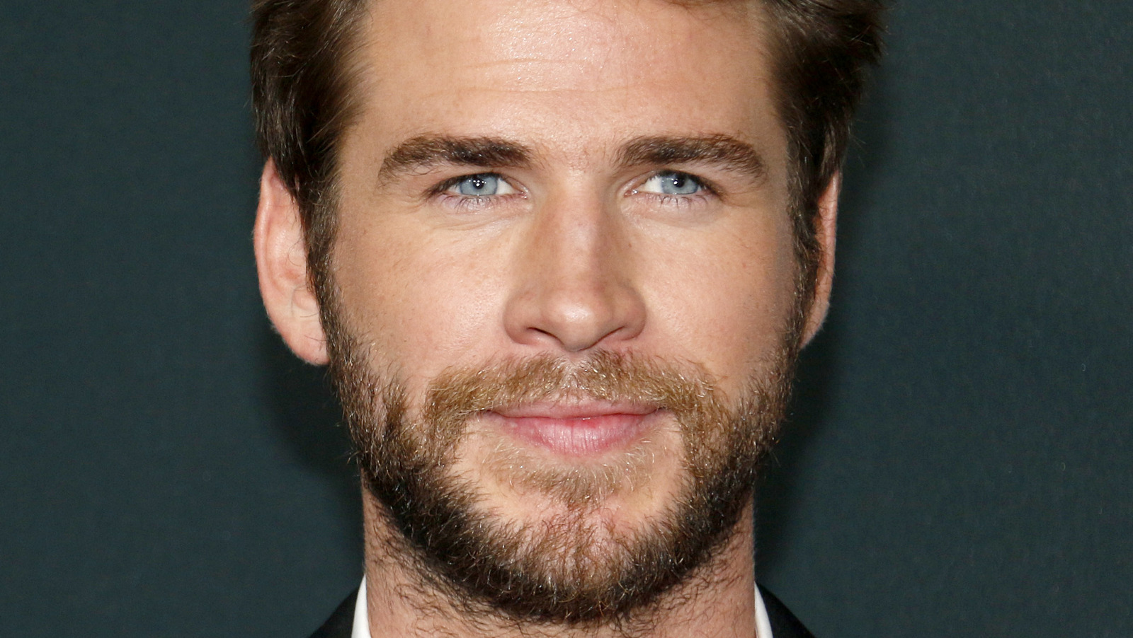 liam-hemsworth-once-claimed-a-role-on-the-muppets-as-his-favorite