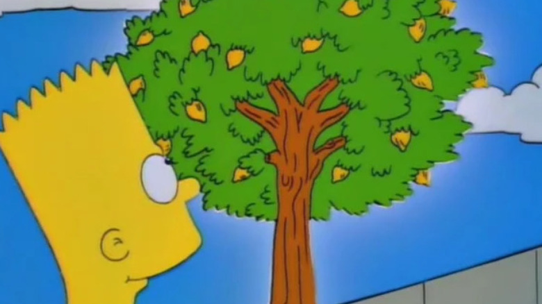 Bart sees the Lemon Tree