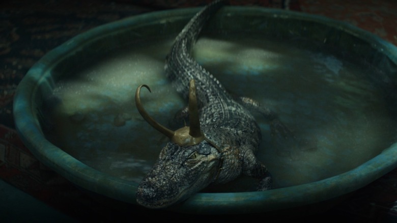 Alligator Loki pool