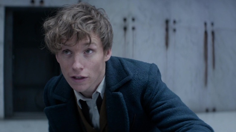 Newt Scamander looking up