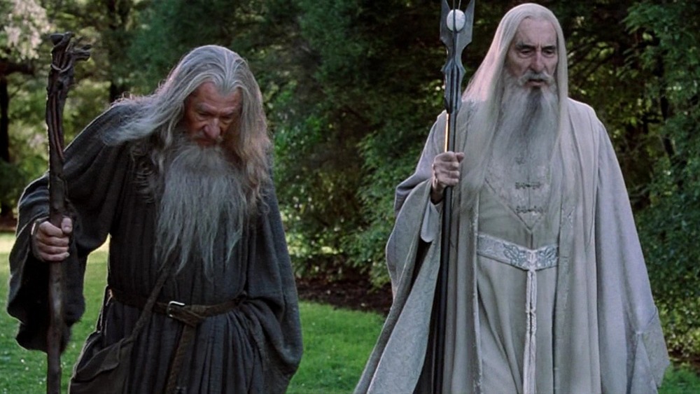 Ian McKellen and Christopher Lee in The Lord of the Rings: The Fellowship of the Ring, Ring-bearer