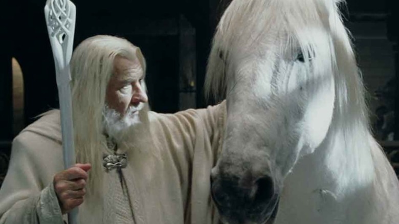 Gandalf strokes Shadowfax