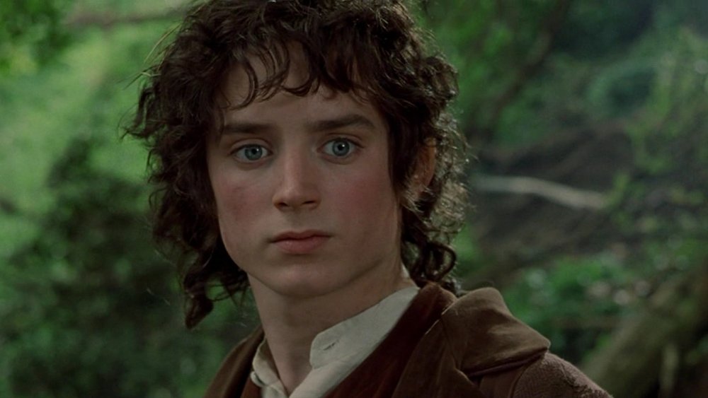 Elijah Wood, The Fellowship of the Ring