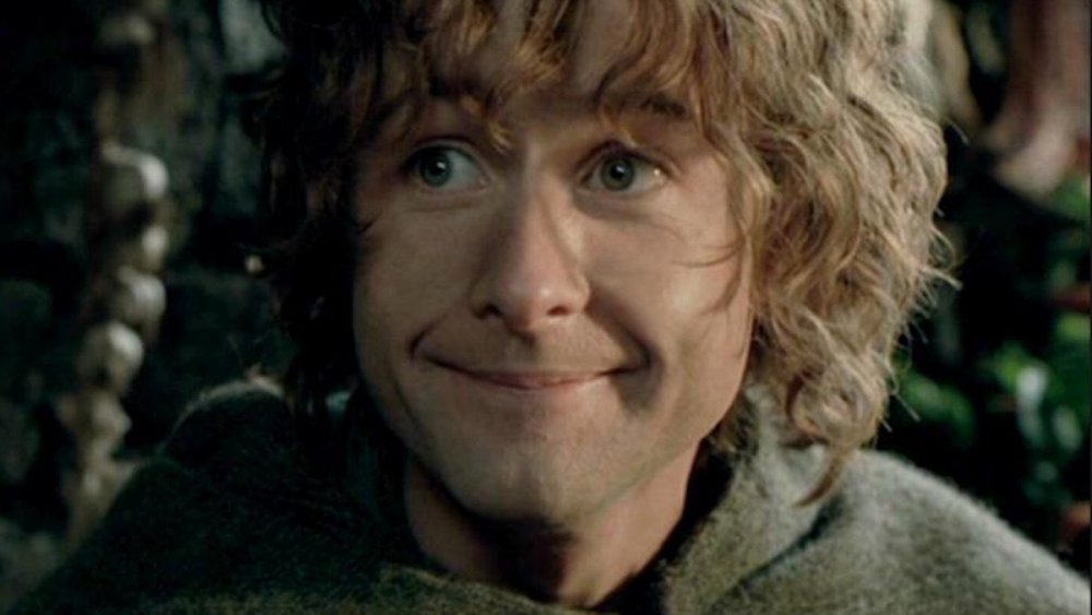 Billy Boyd, Pippin, The Fellowship of the Ring