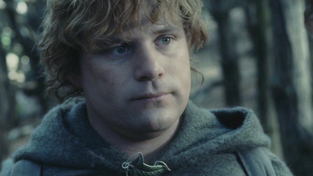 Sean Astin, Lord of the Rings