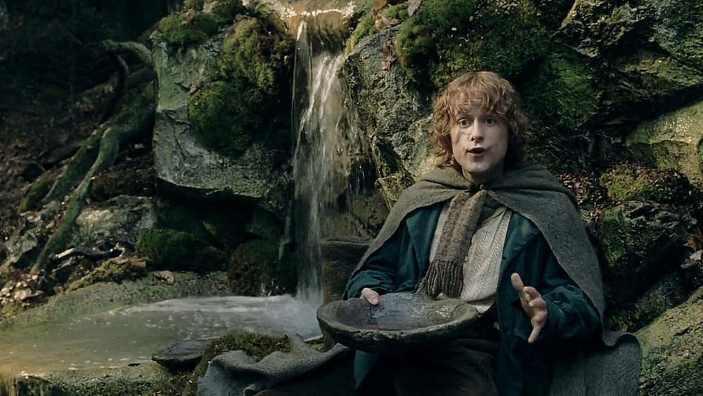 Pippin in Lord of the Rings