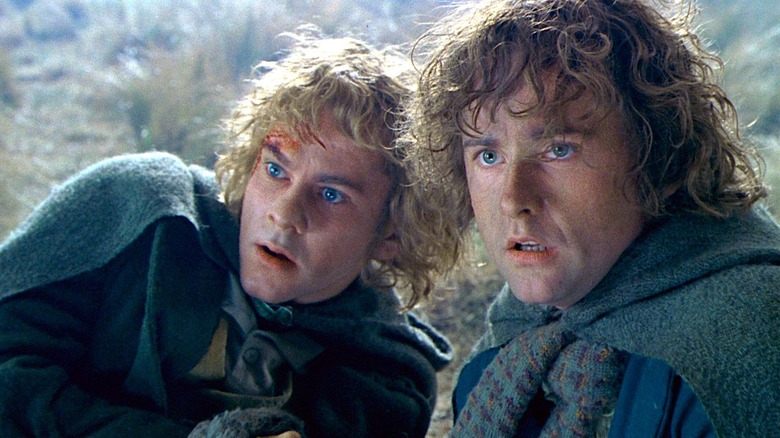 Lord Of The Rings: What Happened To Merry & Pippin In The End? (Prepare ...