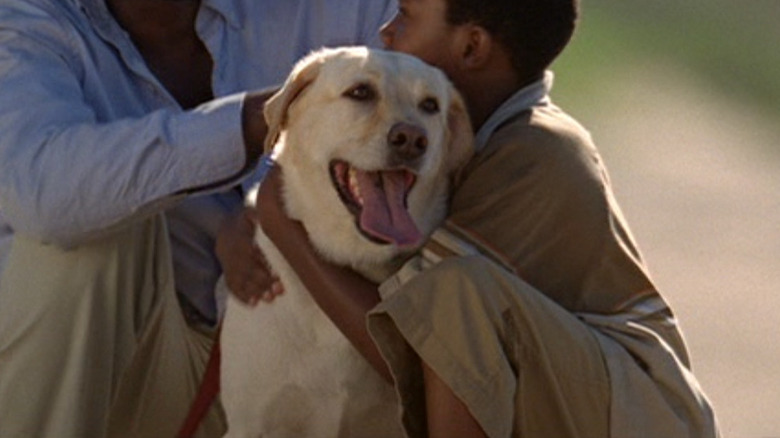 Vincent with Michael and Walt