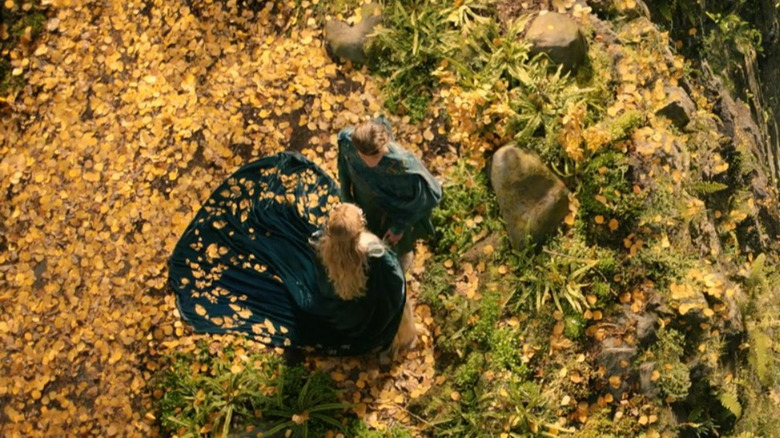 Elrond and Galadriel in field from above