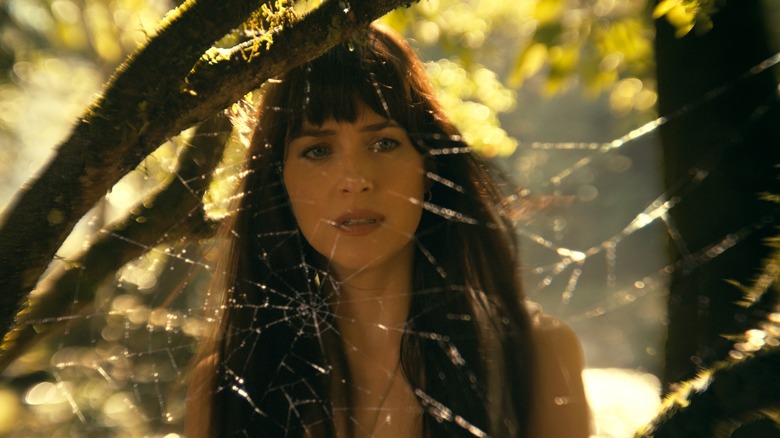 Cassie looking at a web