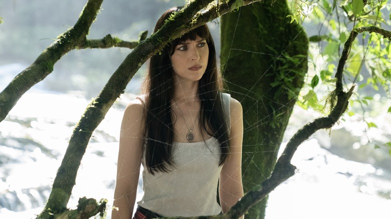 Cassie standing behind a web