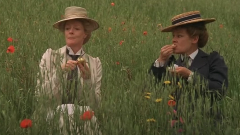 Maggie Smith and Judi Dench picnic