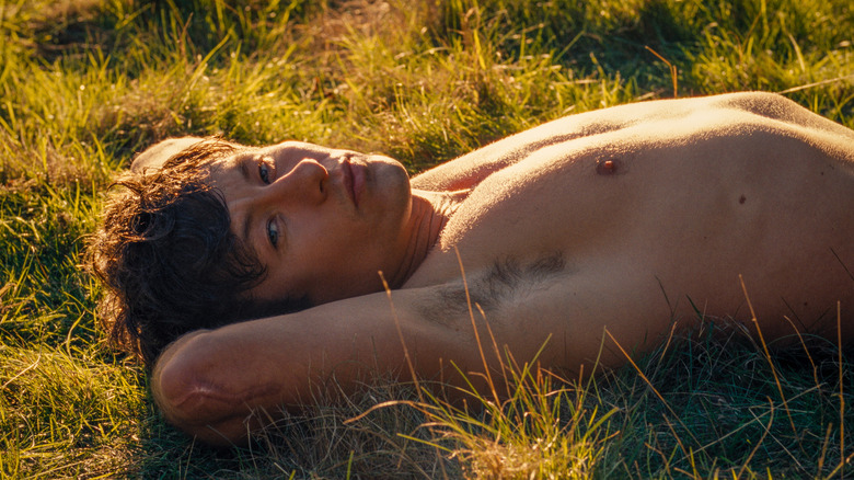 Oliver laying in grass