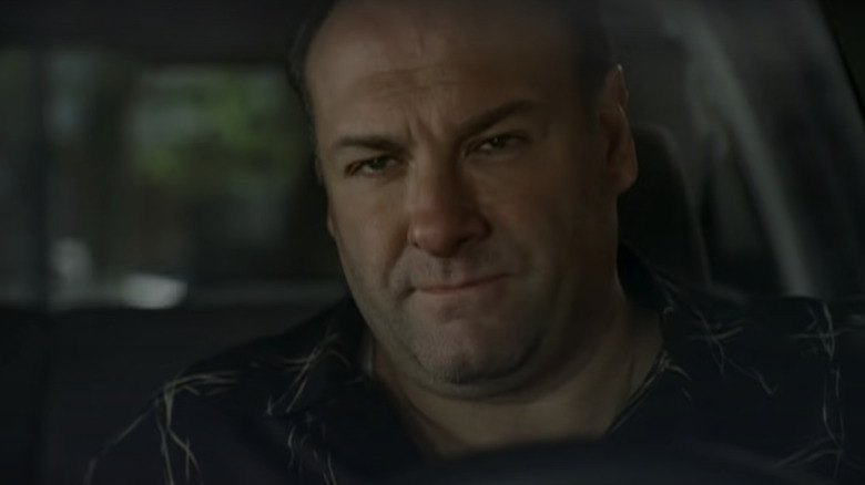 Tony Soprano in the car