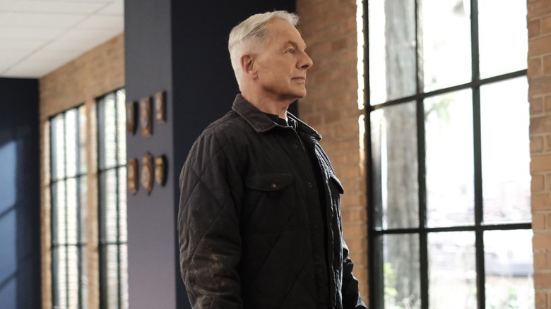 Gibbs looking at a wall