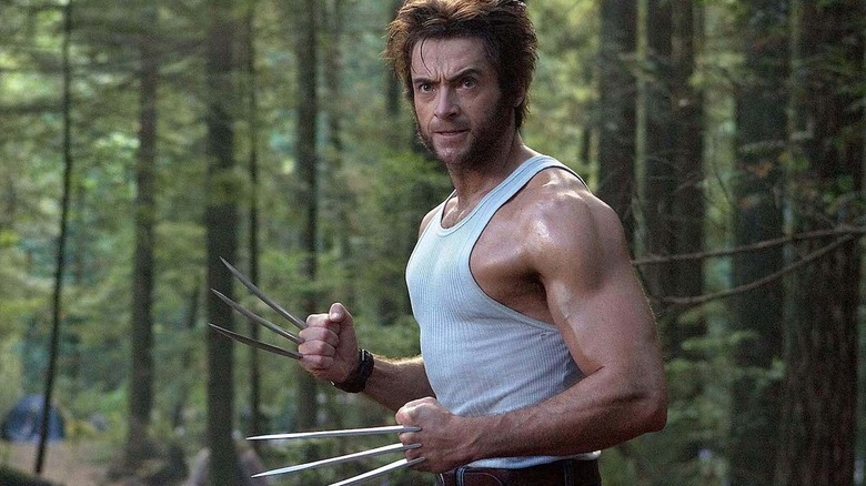 Wolverine fighting in woods