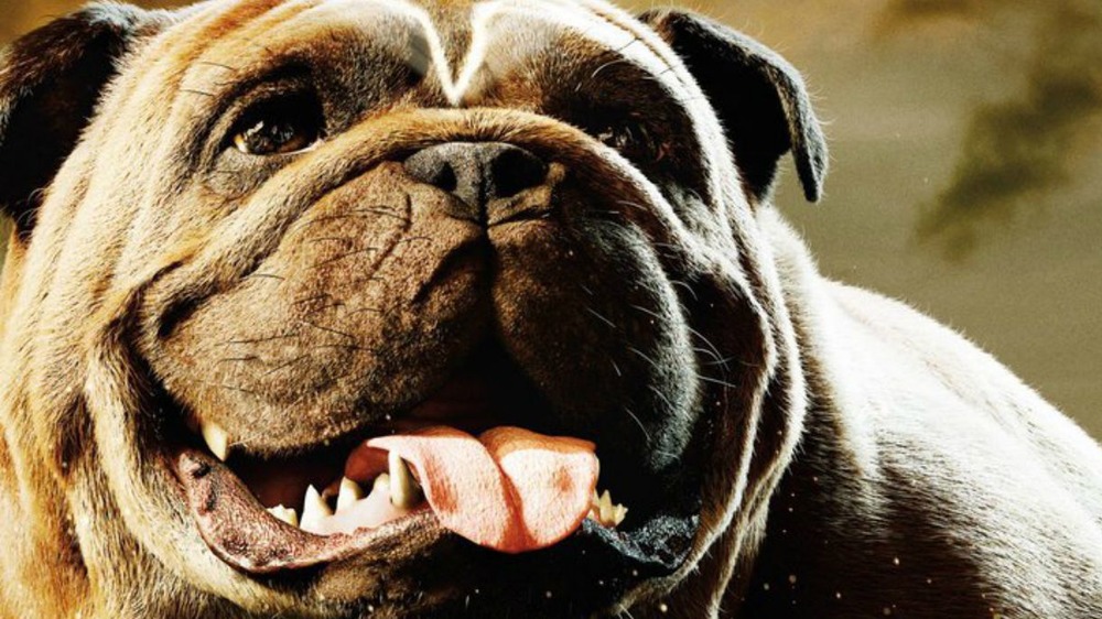 Lockjaw, from Marvel's Inhumans