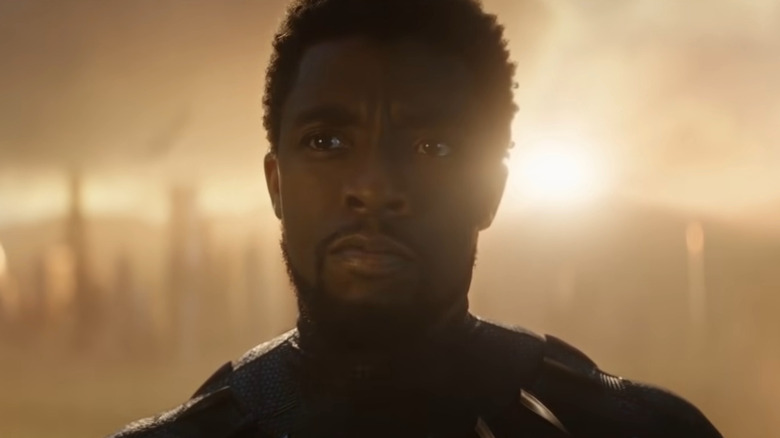 T'Challa stares