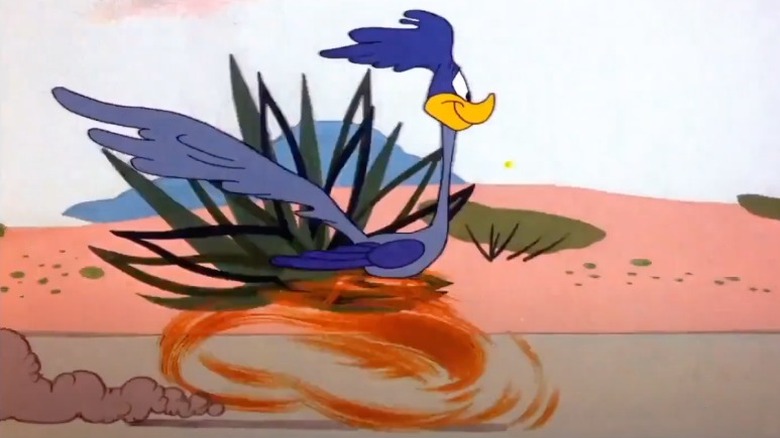 Road Runner running