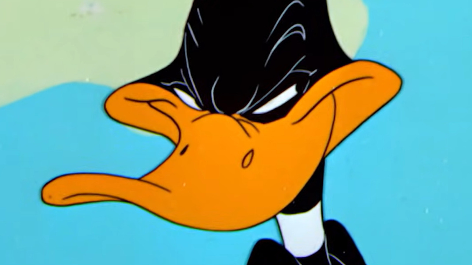 Witch Hazel Disney Porn - 20 Most Popular Looney Tunes Characters Ranked Worst To Best