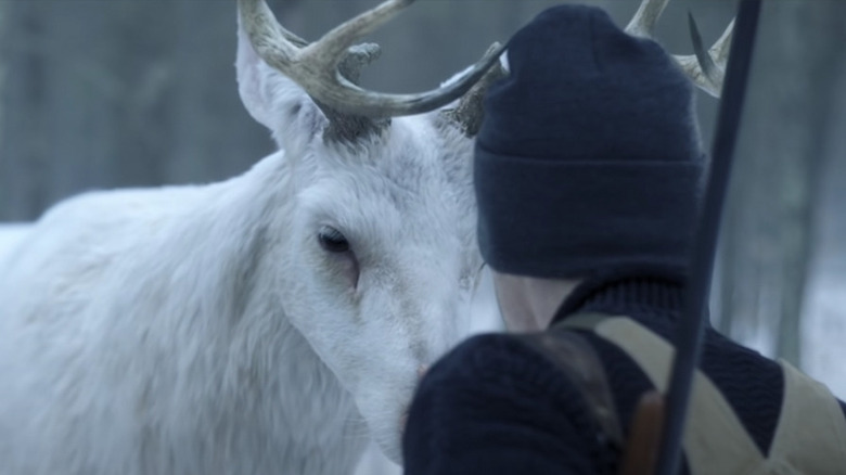 Dexter with White Deer