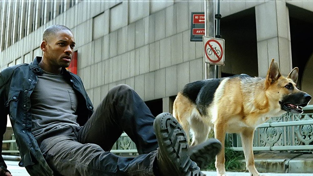 Robert Neville in I Am Legend