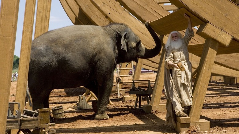 Evan stands with elephant by unfinished ark